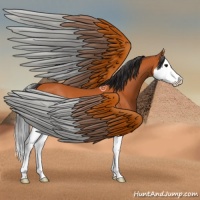 Horse Color:Bay Splash