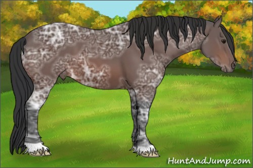 Horse Color:Brown Ice 