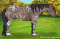 Horse Color:Brown Ice 