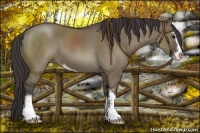 Horse Color:Smoky Grullo Sabino 