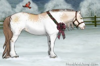 Horse Color:White Spotted Bay Pearl Dun Sabino Rabicano 
