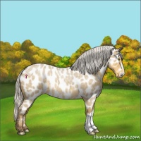 Horse Color:Silver Classic Cream Champagne Roan Near Leopard 