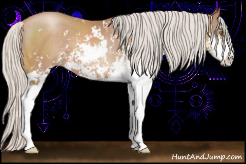 Horse Color:Silver Black Pearl Sabino 