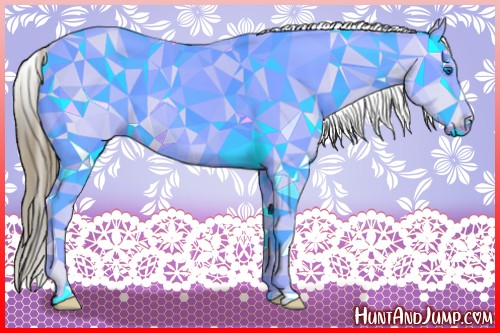 Horse Color:White Spotted Buckskin Splash Appaloosa 