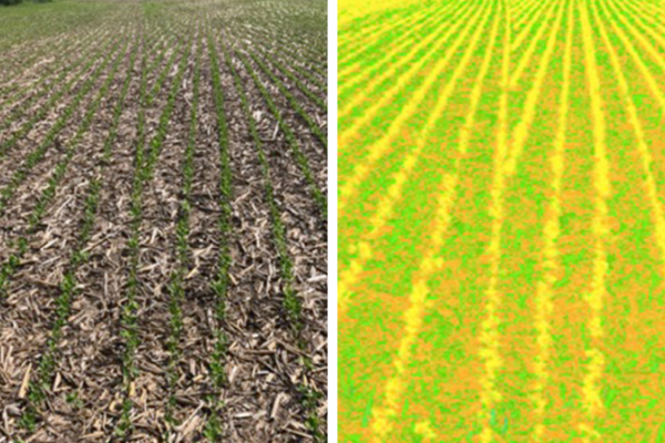 Planter Section Control Blog Listed Image 740X450Px