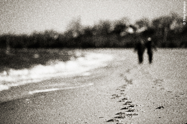 BW KPZ 2 Gmap Grainy Film