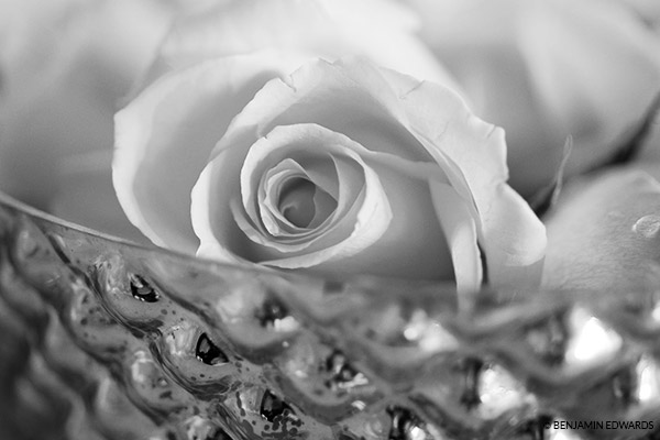 BW Punchy Bump Grain ChaMix