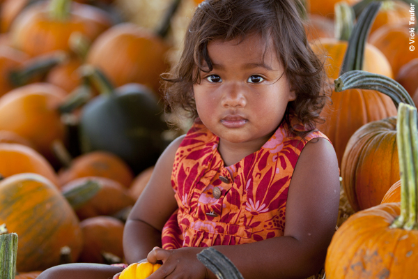 Too Warm Daylight Tungsten 2