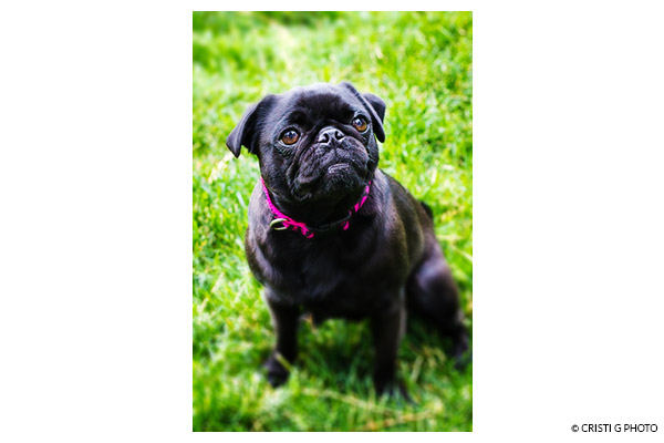 Selective Focus step 3