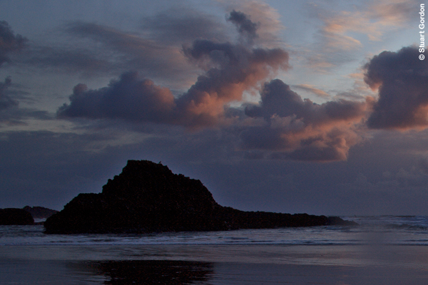 Shadow Detail Revealer Brush