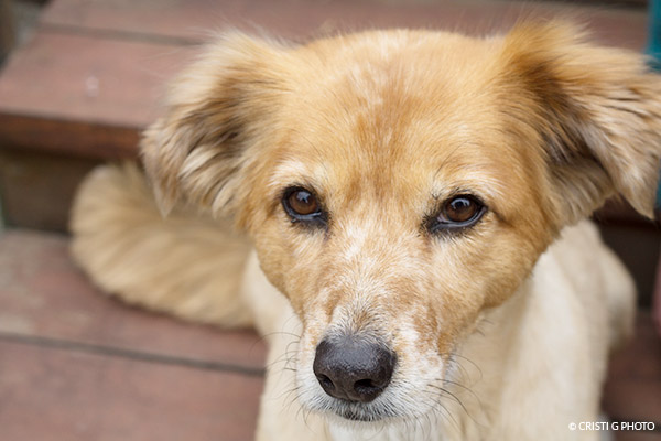 Lighten via SCREEN 1 stop