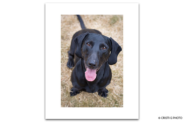 Make full frame VERT within 8x10 250 dpi medium