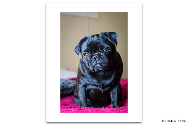 Make full frame VERT within 8x10 300 dpi large