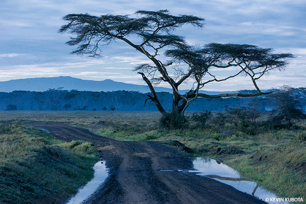 Color Luminizer Interactive