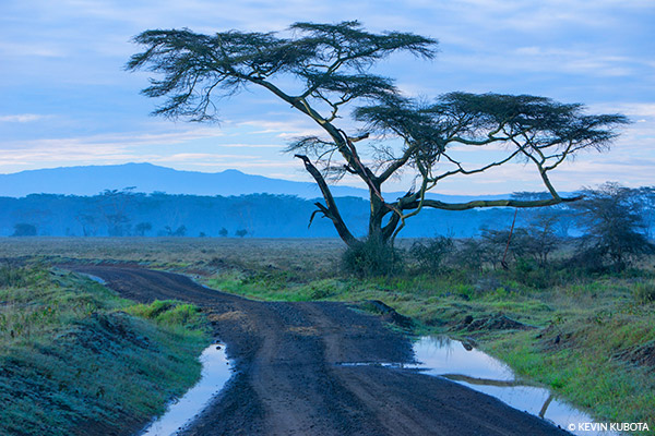 Color Vibralizer Interactive