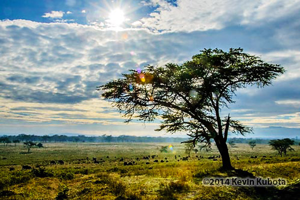 Prepare for Facebook_Web user size