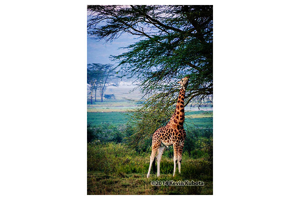 Prepare for Facebook_Web with Love 750 size