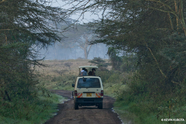 Reveal shadow detail