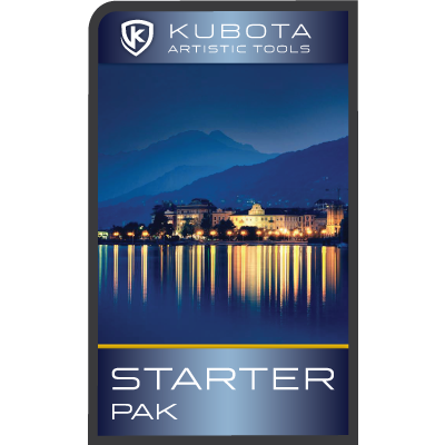 Kubota Starter