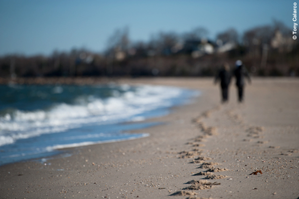 BW KPZ 2 Gmap Grainy Film