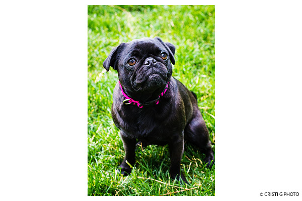 Selective Focus step 3