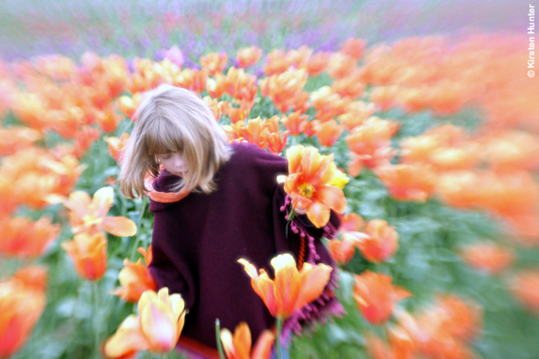 Double Glass Lens - Krispy K