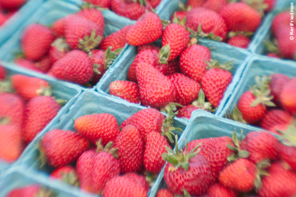 Single Glass - Vitamize