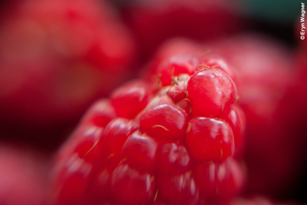 Soft Focus Lens - Snap up