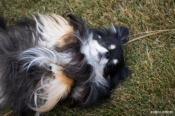 KK Shadow Detail Opener