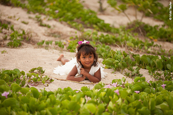 Border Black with White Horizontal