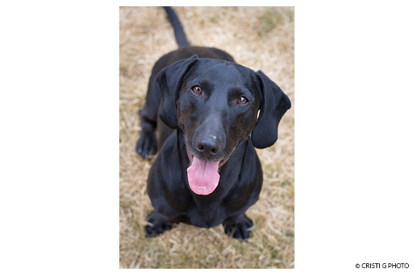 Make full frame VERT within 8x10 250 dpi medium