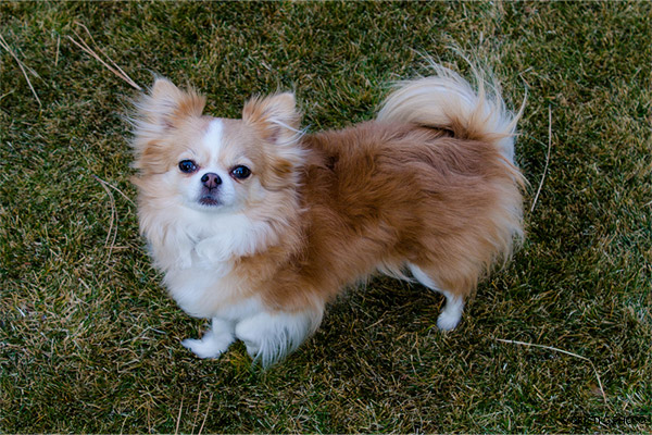 Make full frame HORIZ within 8x10 250 dpi medium