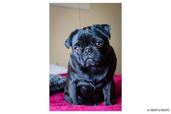 Make full frame VERT within 8x10 300 dpi large