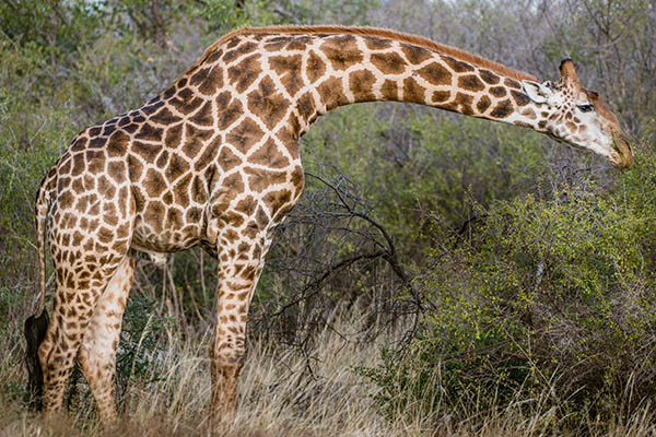 Smarter Sharp Edge Mask 2