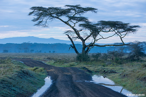 Color Vibralizer Interactive