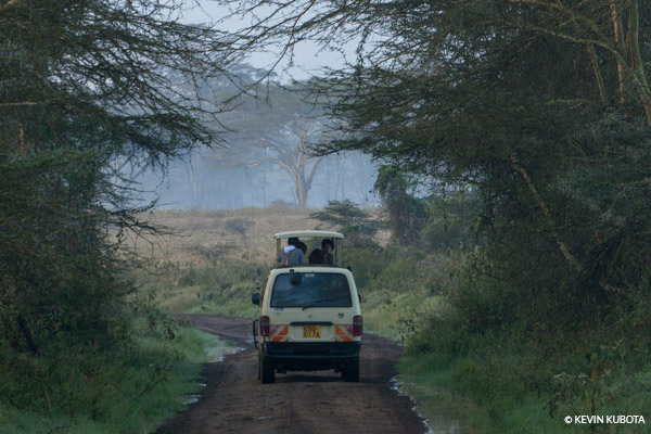 Reveal shadow detail