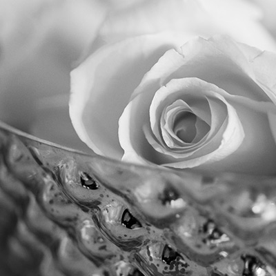 BW Punchy Bump Grain ChaMix