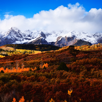 Radiance Landscape 2