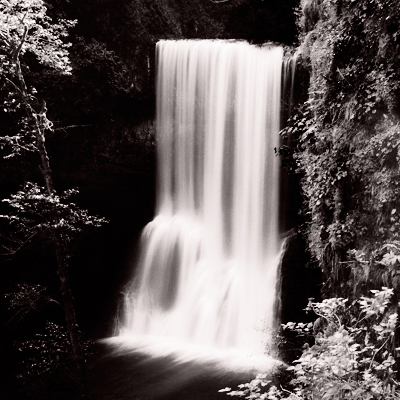 Velveteen 48 and BW Satin