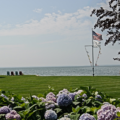 Enter the Dragon - Old World Color