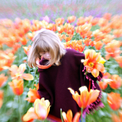 Double Glass Lens - Krispy K