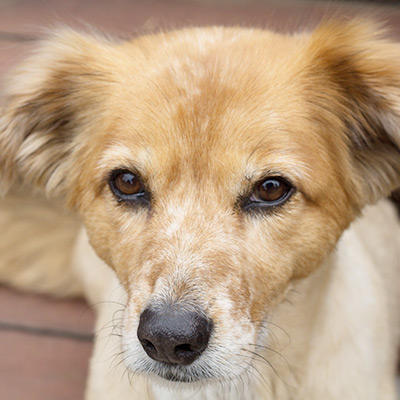 Lighten via SCREEN 1 stop