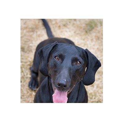 Make full frame VERT within 8x10 250 dpi medium