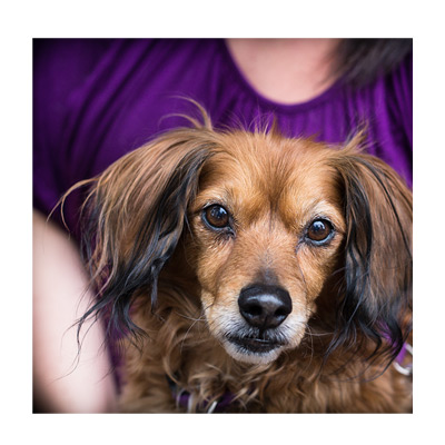 Make full frame HORIZ within 8x10 250 dpi large