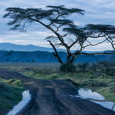 Color Luminizer Interactive