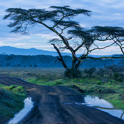 Color Vibralizer Interactive