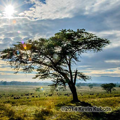 Prepare for Facebook_Web user size