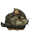2f78352450d50c38.gif.ed14ed77d160716fb2b