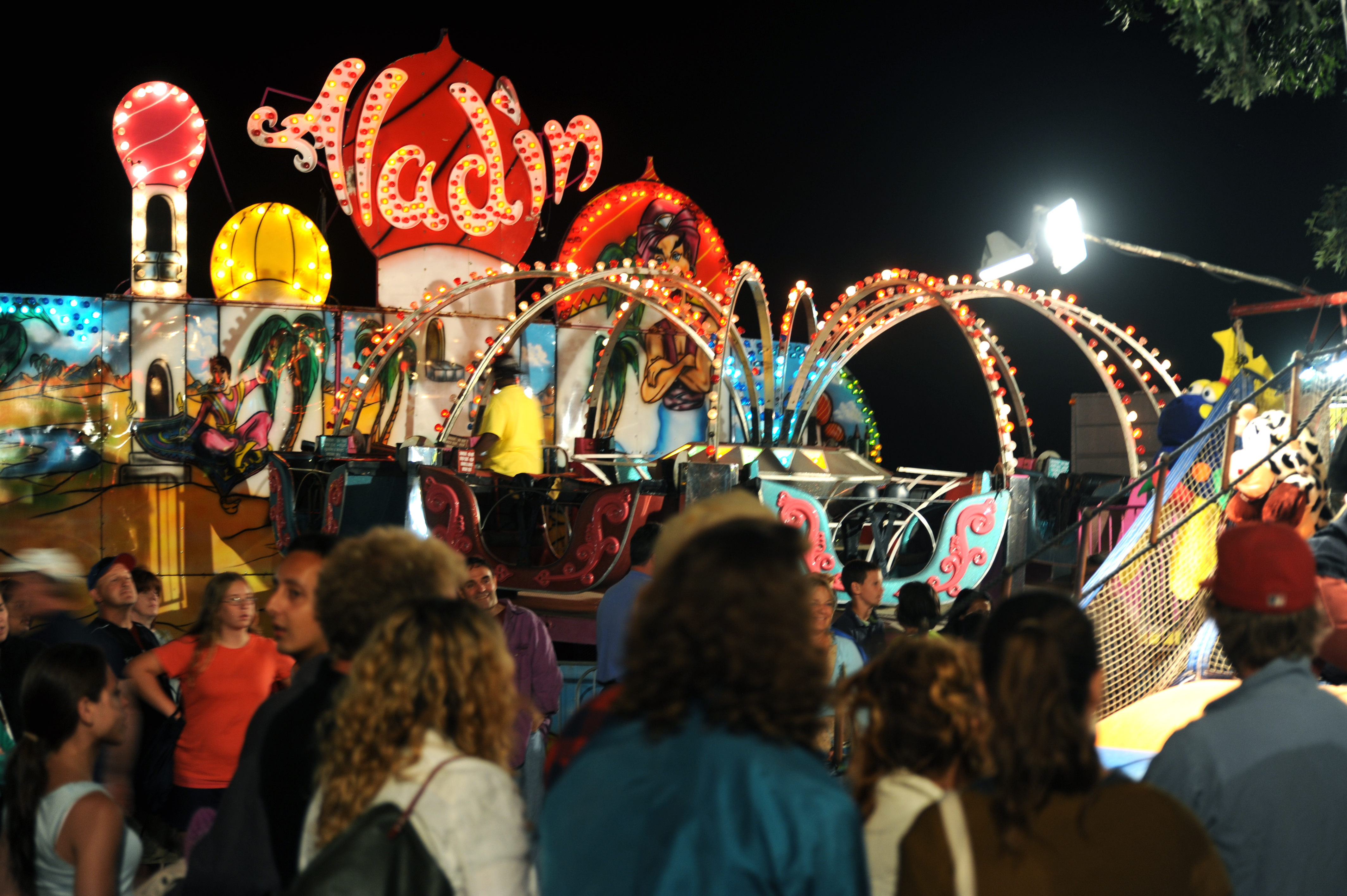 DSC_7804 Aladin;Dukes County Agricultural Fair, West Tisbury, Martha’s