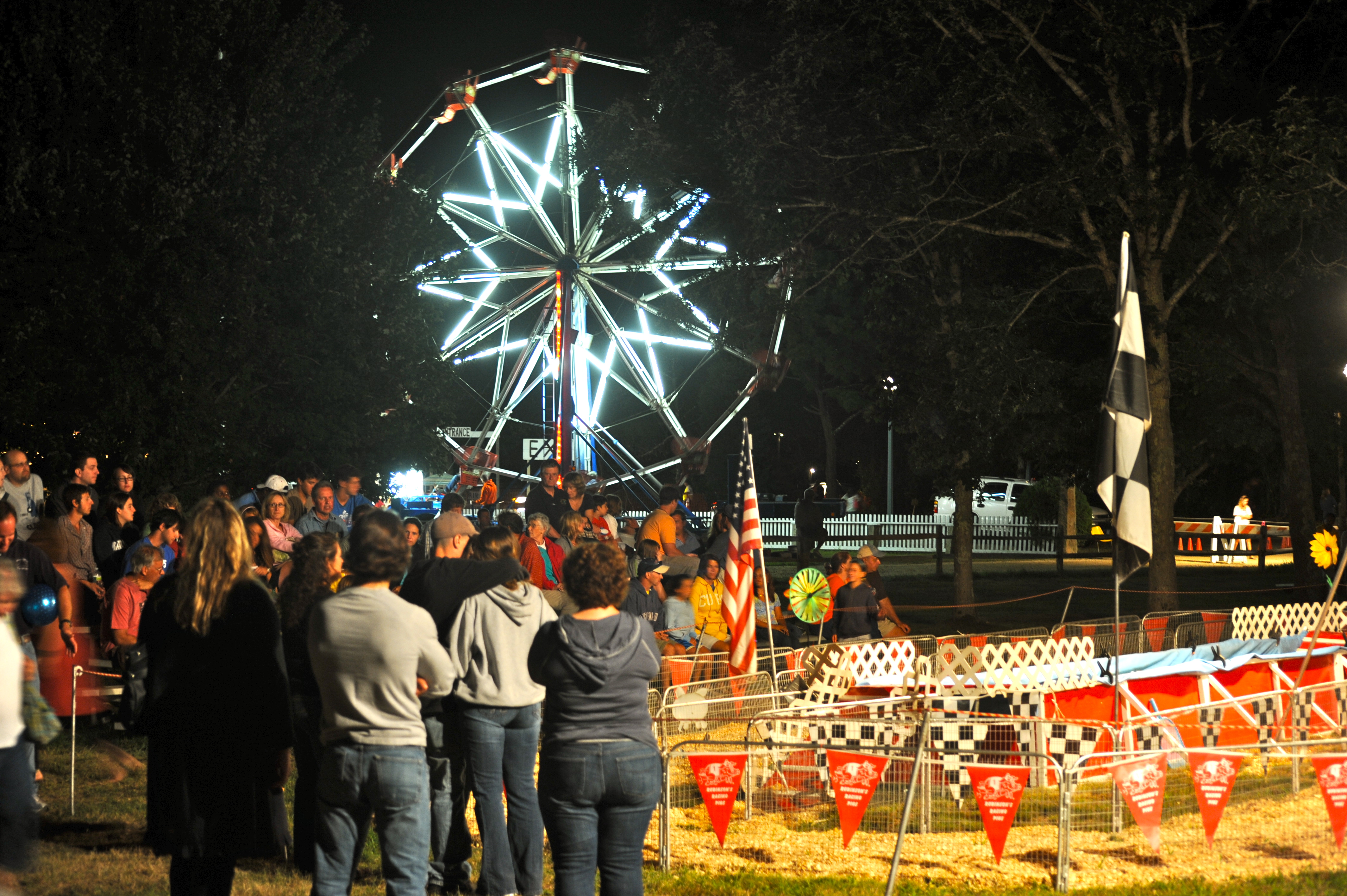 DSC_7718 Ferris Wheel at night; Dukes County Agricultural Fair, West